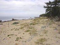 Semesterstuga Taurus - Hiiu Täht » Kõrgessaare » Hiiumaa - Dagö , Estland